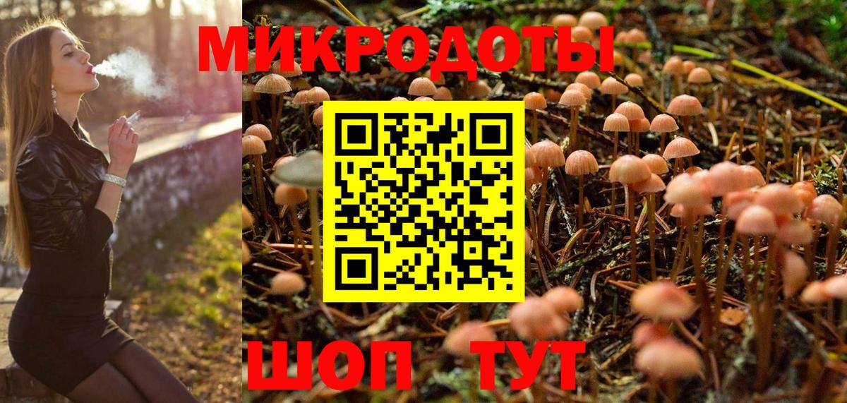 Зеленогорск  Галлюциногенные грибы Magic Shrooms  Псилоцибиновые грибы Psilocybe  Вход с VPN 